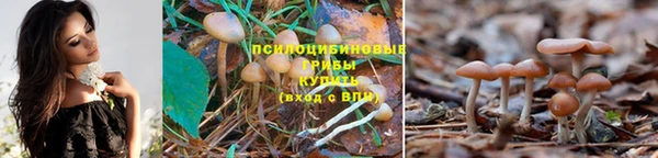 MDMA Premium VHQ Киреевск